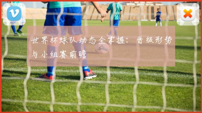 世界杯球队动态全掌握：晋级形势与小组赛前瞻