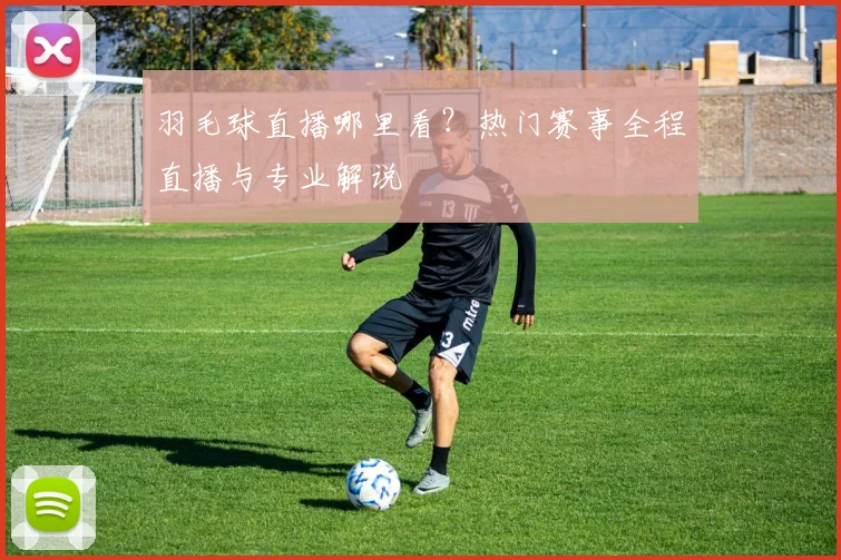 羽毛球直播哪里看?热门赛事全程直播与专业解说