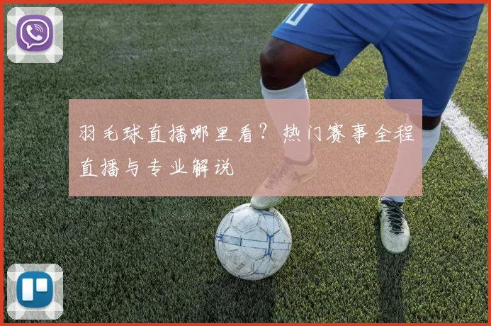 羽毛球直播哪里看?热门赛事全程直播与专业解说