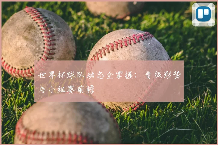 世界杯球队动态全掌握：晋级形势与小组赛前瞻